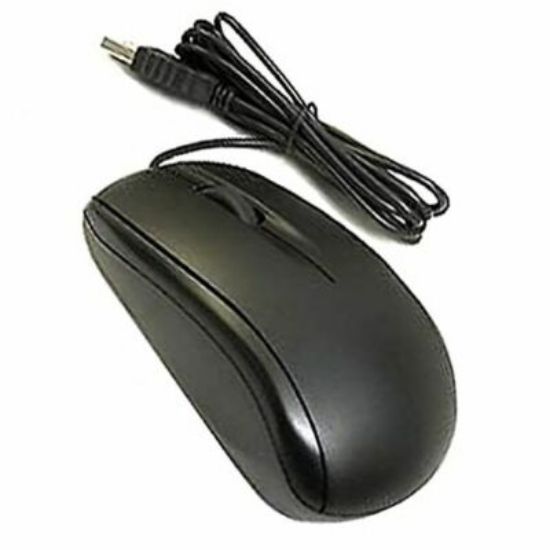 Picture of Normal Mouse